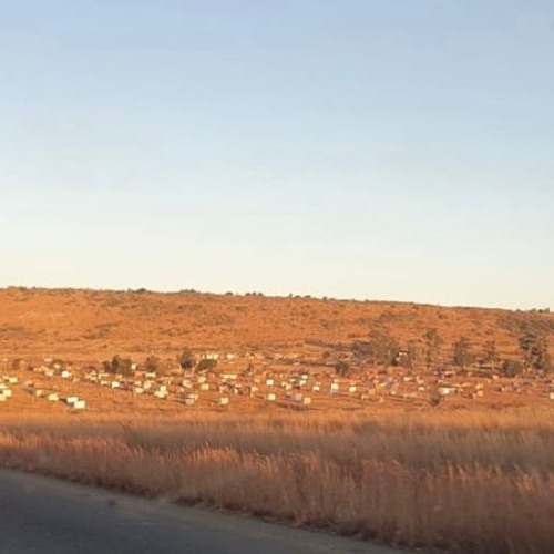 Stream Ismail Saheb speaks about land grabs in Lenasia South by Radio