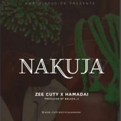 Zee ft Hamadai - Nakuja