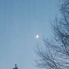 WhyEvenBotherSleeping