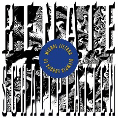 Michal Zietara - Pink Seal