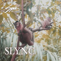 Spa In Disco - Tropical Disco #020 - SLYNC