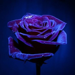 Red Rose(abnormal prod)