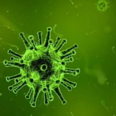 Latte - Parasites (2019 Refix) (Clip)