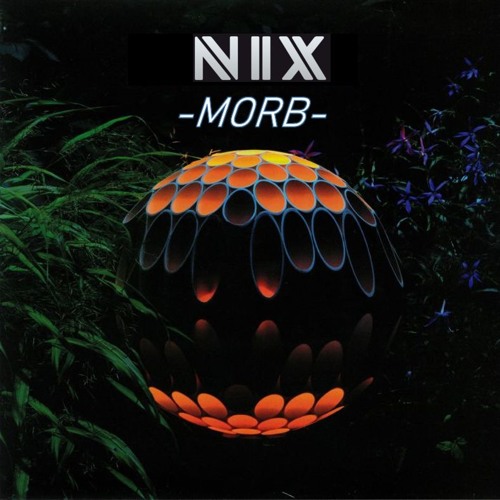 Morb