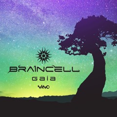 Braincell & Mandala - Live Blissfully