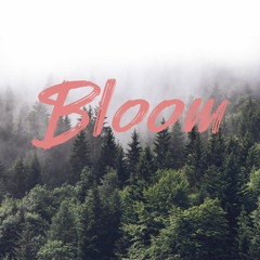 Bloom - The Paper Kites Cover