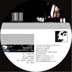 ELL052 Madben - Enjoy Yourself