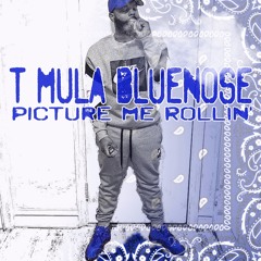 Picture Me Rollin Prod. Trapp Beatz