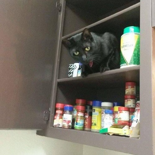 UNDER THE CABINET (Prod. beatsbyneco)