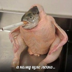 самая любовная песня
