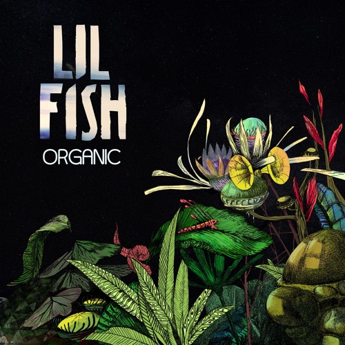 Lil Fish - Organic