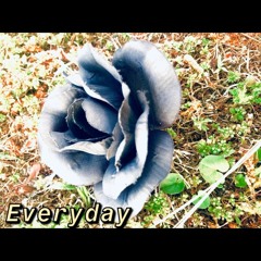 Everday (Prod. Urban Nerd Beats)