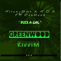 TitonyBMK  X T.O.K & PANHEAD [GREENWOOD RIDDIM]