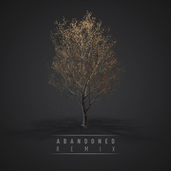 Unprocessed - Abandoned Levy Remix