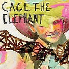 Back Against The Wall- Cage the Elephant acoustic cover