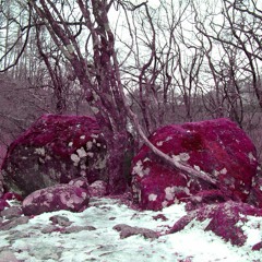 Jim O'Rourke - Therefore I Am (Two sides to every story 草月ホール)