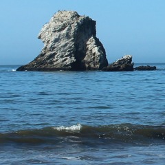 Sneaker Wave LIVE at the Fireside Lounge