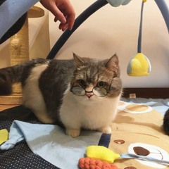 audio for my future edits 3 ;)))