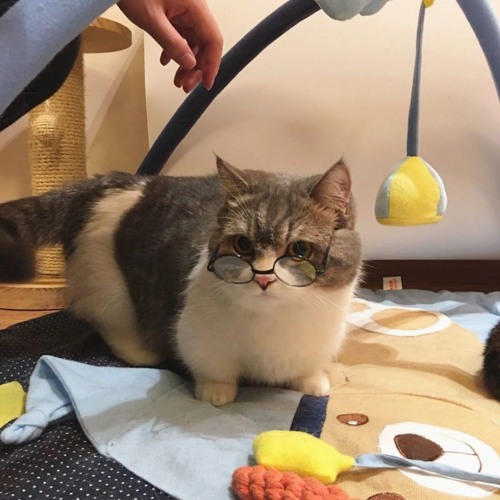 audio for my future edits 3 ;)))