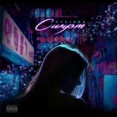 KVLIBRA - Силуэт