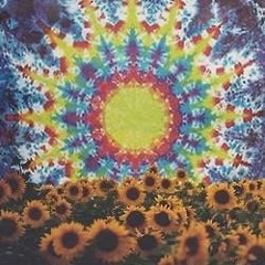 Perpetual Loop - Too Long At The Sun (Original Mix)