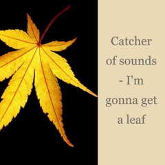 I'm gonna get a leaf