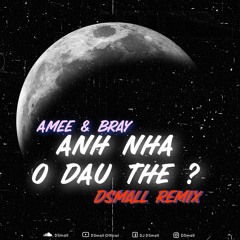 AMEE & BRay - Anh Nha O Dau (DSmall Rmx)