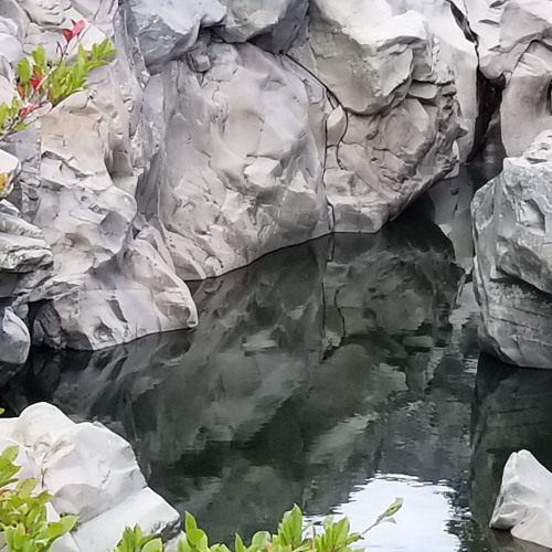 Mating Season for Tarantulas On Mount Diablo