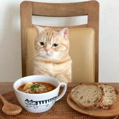 𝕔 𝕙 𝕚 𝕝 𝕝