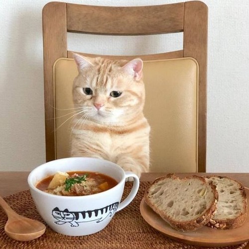 𝕔 𝕙 𝕚 𝕝 𝕝