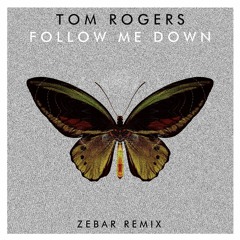 Tom Rogers feat. Derek Joel - Follow Me Down (Zebar remix) [FREE DOWNLOAD]