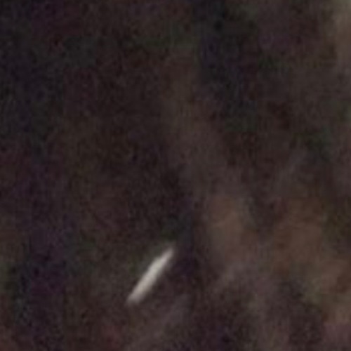 no stylist.(where am i ?)