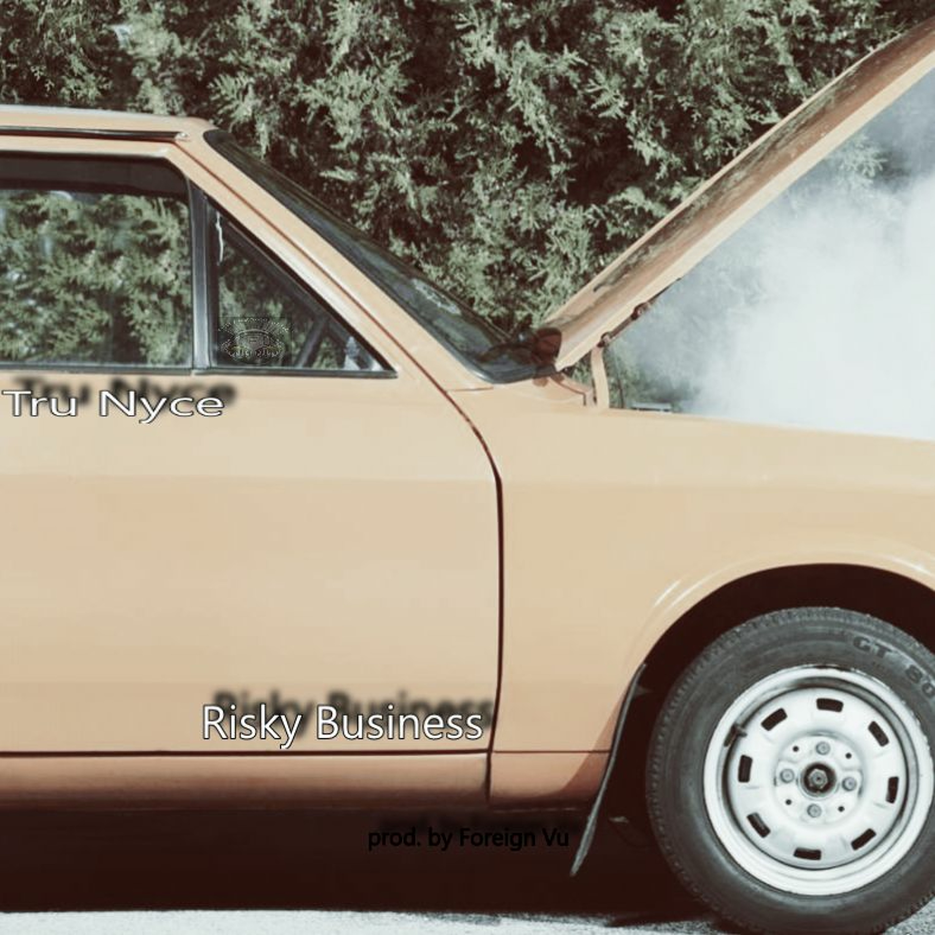 Tru Nyce - Risky Business (prod.by Foreign Vu) episode artwork
