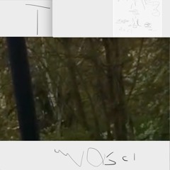 Osci - Den Evige Debatten (lyd Ekstra Sang)