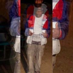 FACTS PT II - TreBicK