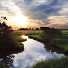 American Themes - Delaware