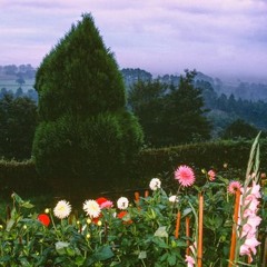 Everyone I Ever Loved