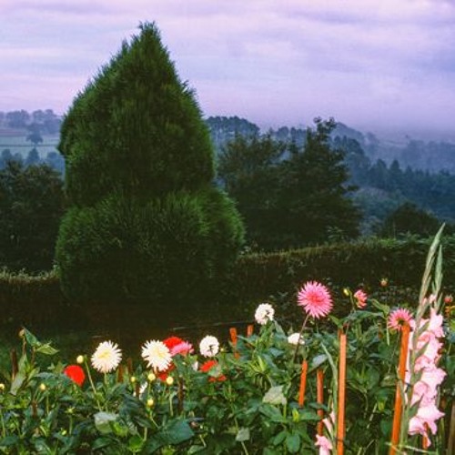 Everyone I Ever Loved