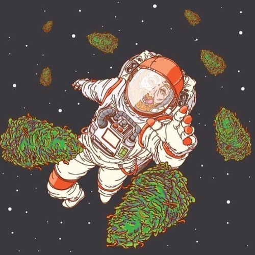 I Need My Doja (Snippet)