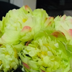 Amin Paling Serius short cover