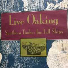 Pounding Live Oak