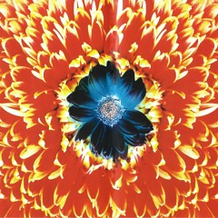 Rammstein - "Asche Zu Asche"/ Voice Cover by A.K