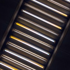 Anything Is not always Genius