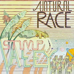 DKMNTL072 // Stump Valley - Natural Race