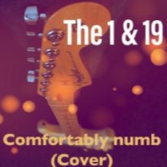 Comfortably Numb (Cover)