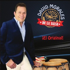 EL PILOTO Y EL CANARIO