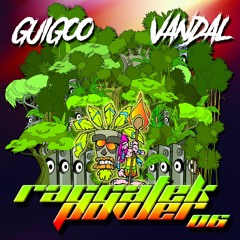 Vandal - The Youth Of Today