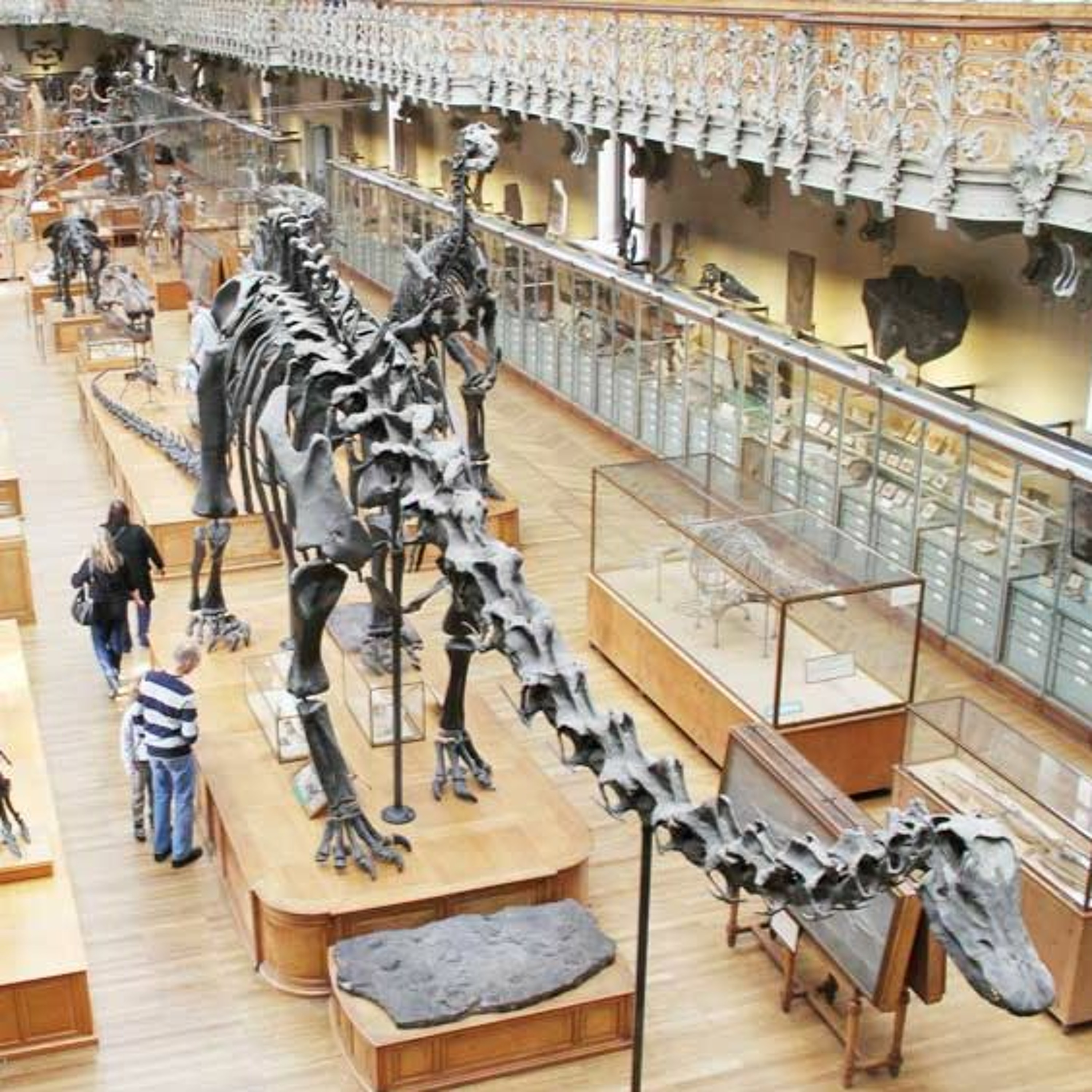 Travel Codes بودكاست