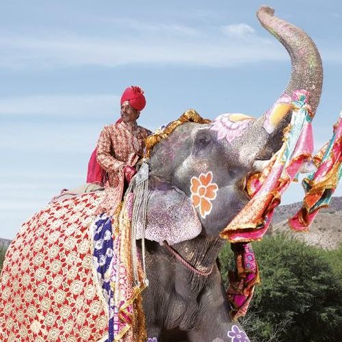 On The Back Of An Elephant