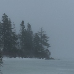 Madi Larson - Hollow Memories(Aoomi flip)